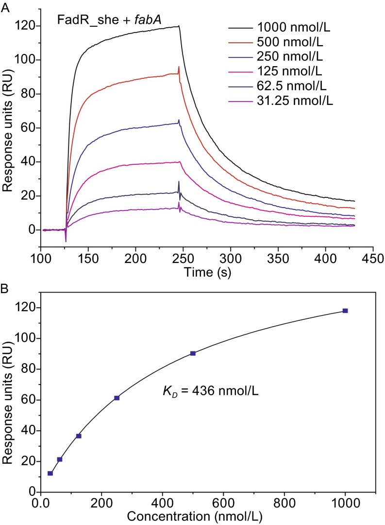 Figure 5