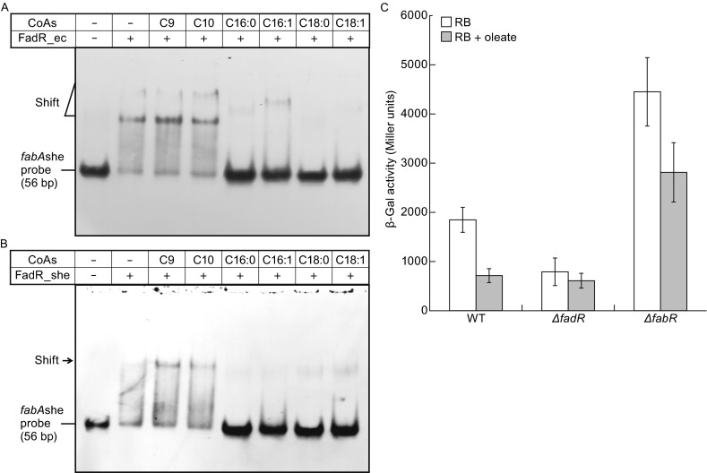 Figure 6