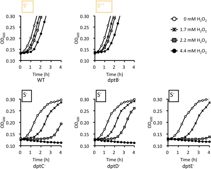 Figure 4.