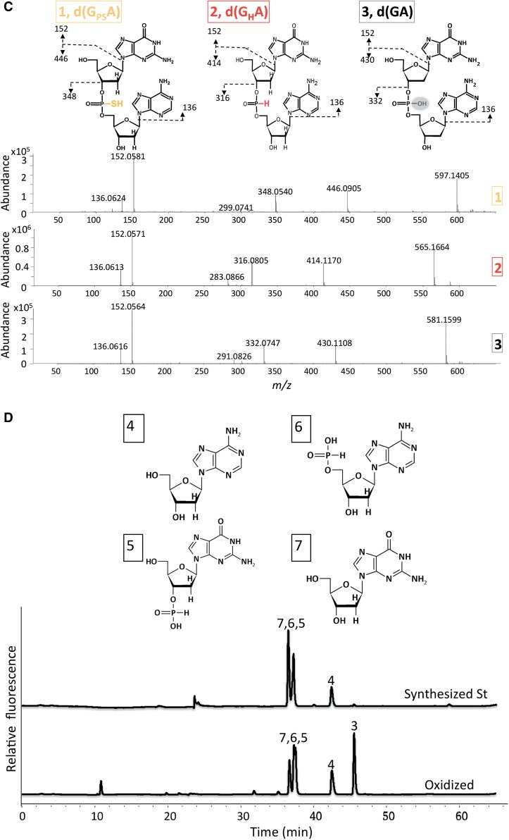 Figure 2.