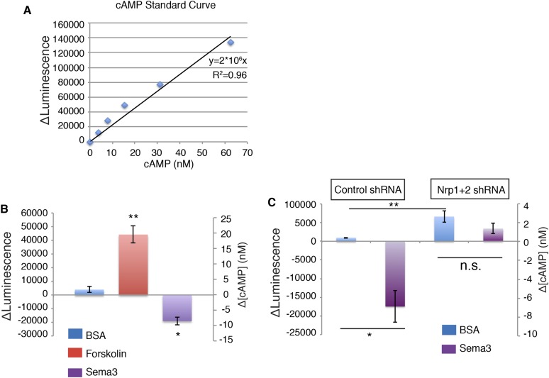 Figure 2—figure supplement 2.