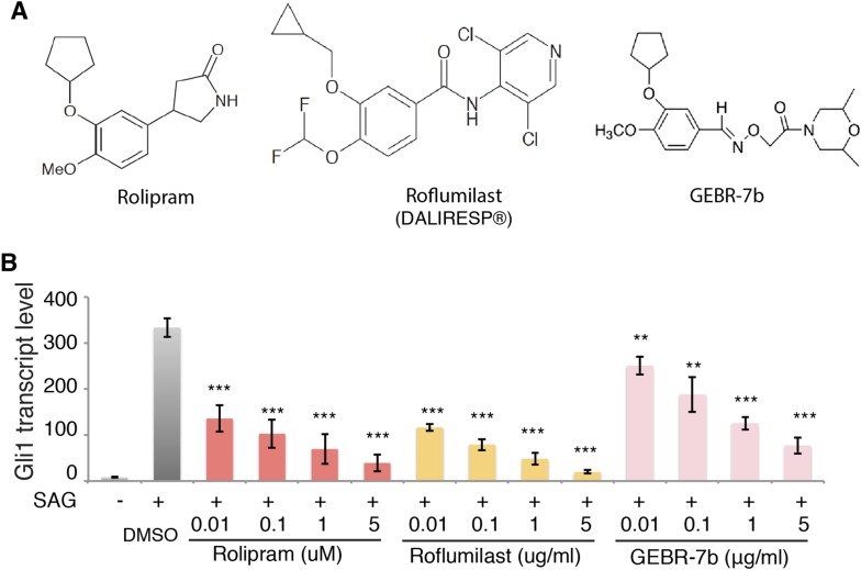 Figure 4—figure supplement 1.