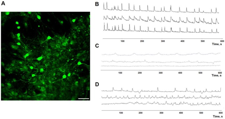 Figure 9