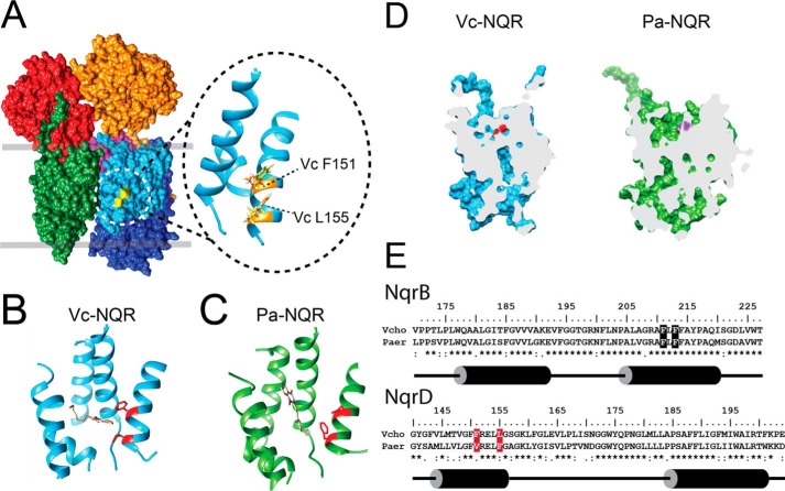 Figure 6.