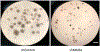 Fig. 8