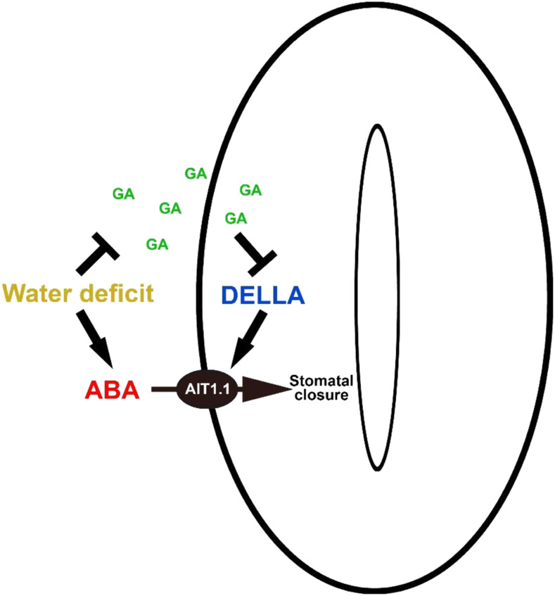 Figure 6.