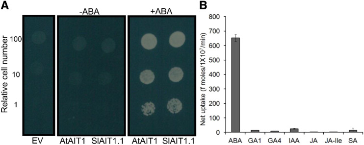 Figure 3.