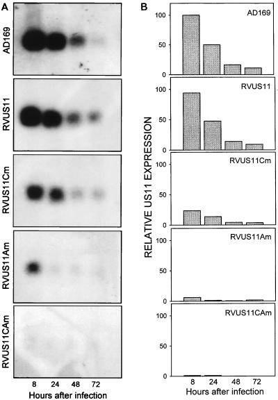 FIG. 6
