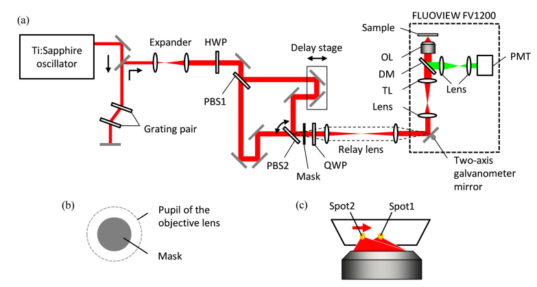 Fig. 2