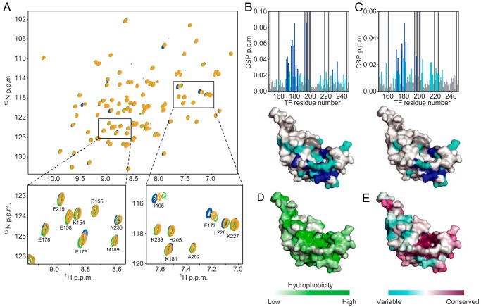 Figure 2.