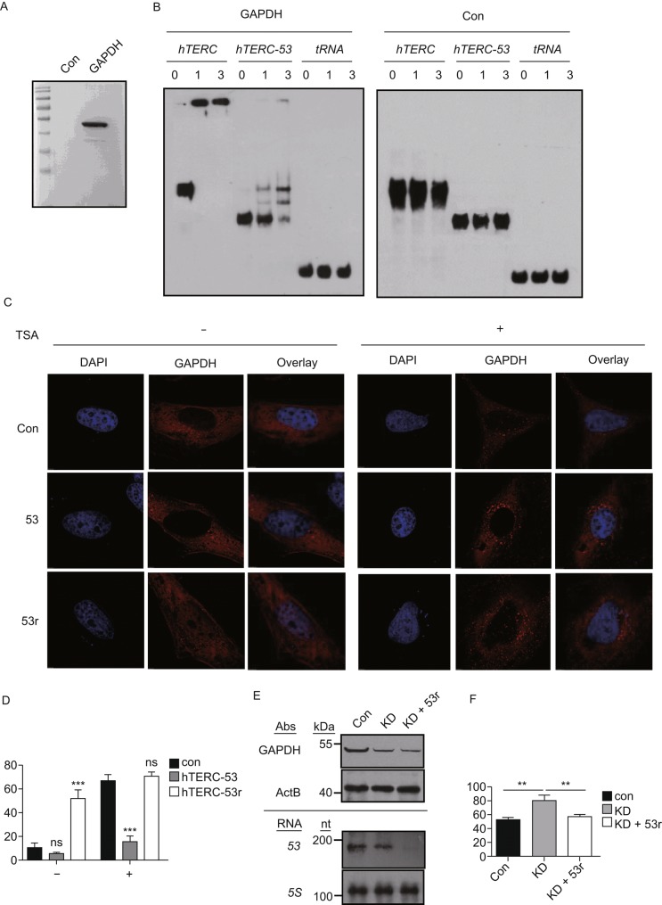 Figure 7