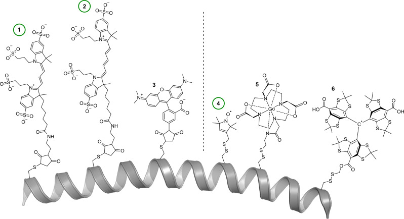 Fig. 2