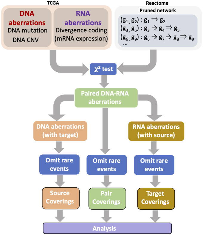 Efficient representations of tumor diversity with paired DNA-RNA aberrations.