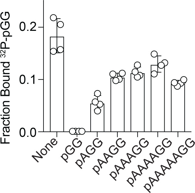 Figure 5—figure supplement 1.