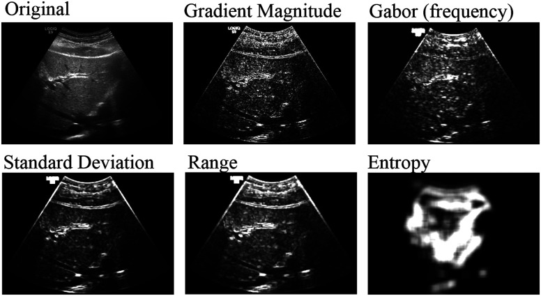 Fig. 7