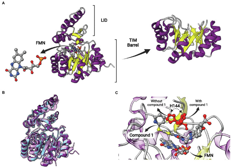 Figure 12