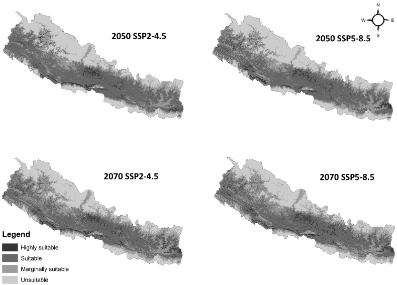 Fig. 8