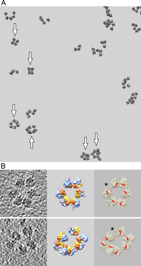 Figure 4.