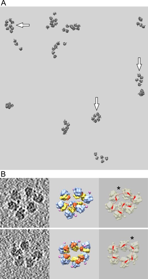 Figure 3.