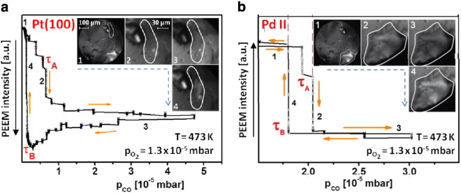 Fig. 8