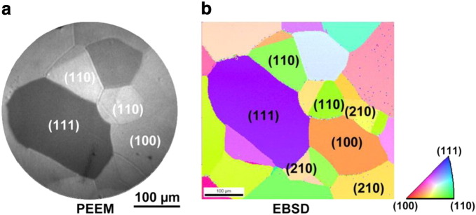 Fig. 1