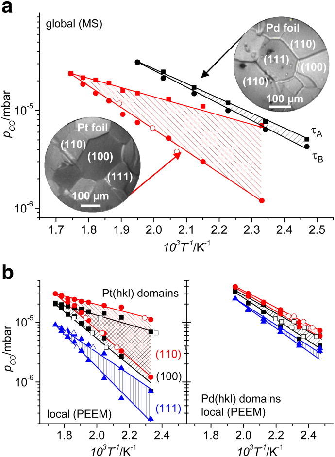 Fig. 6