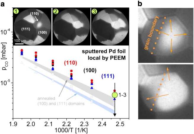 Fig. 7