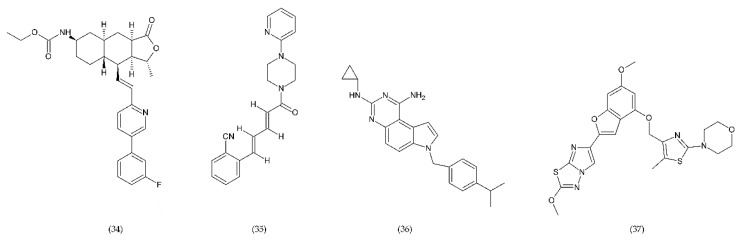 Figure 13