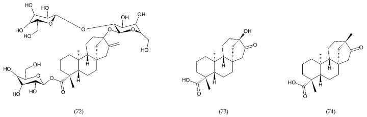 Figure 22