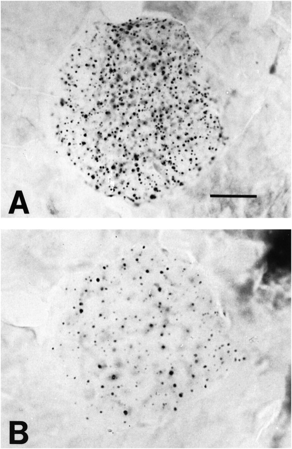 Fig. 10.