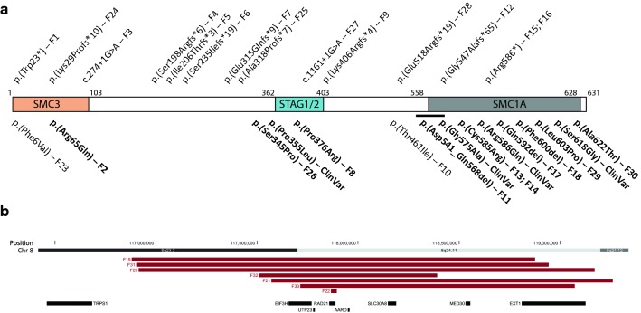 Fig. 1