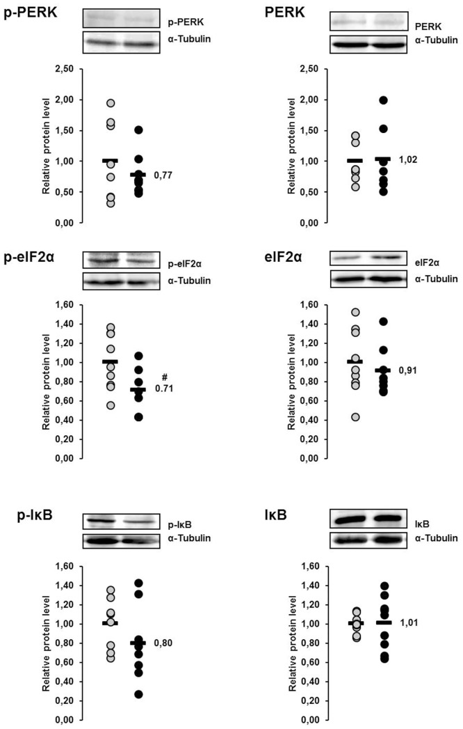 Fig 10