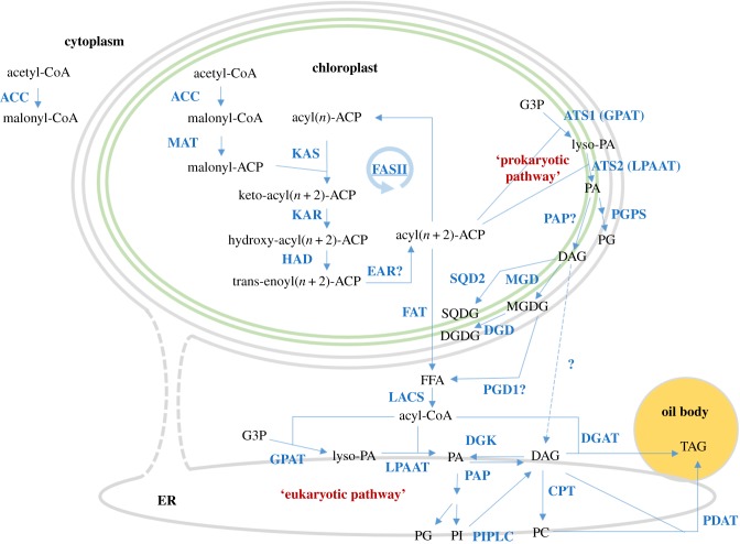 Figure 4.