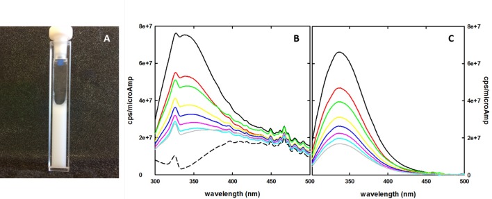 Fig 2