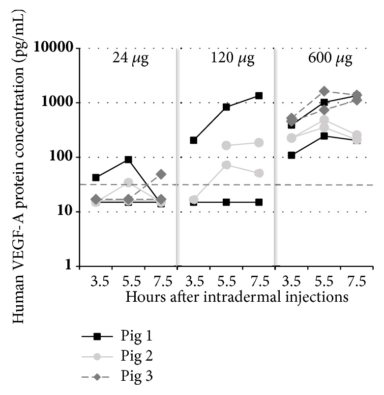 Figure 6