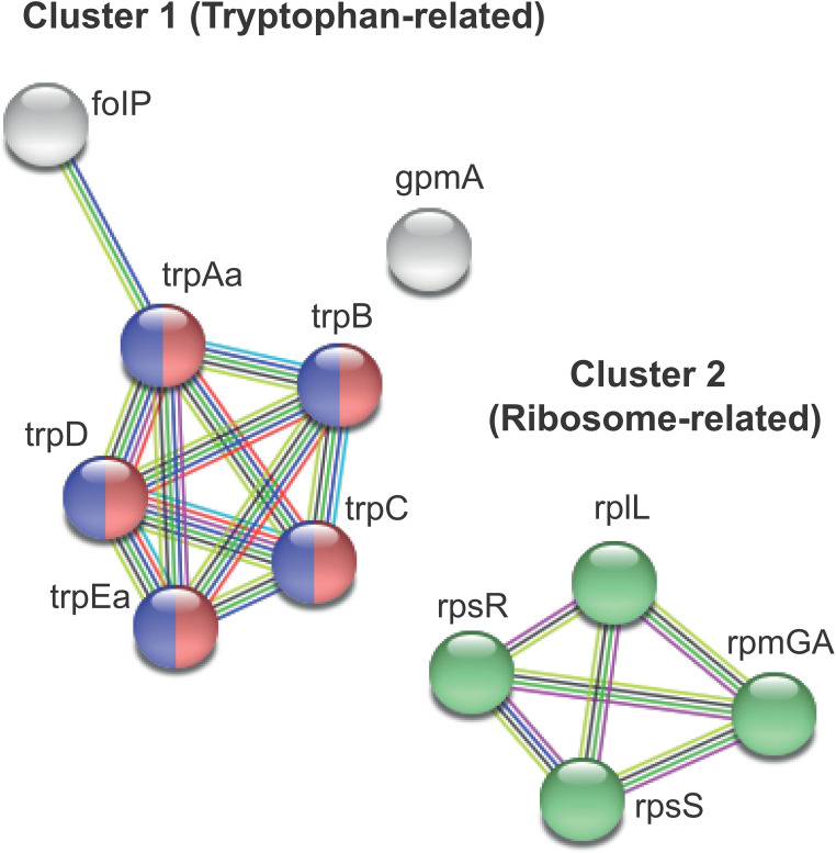 FIG 2