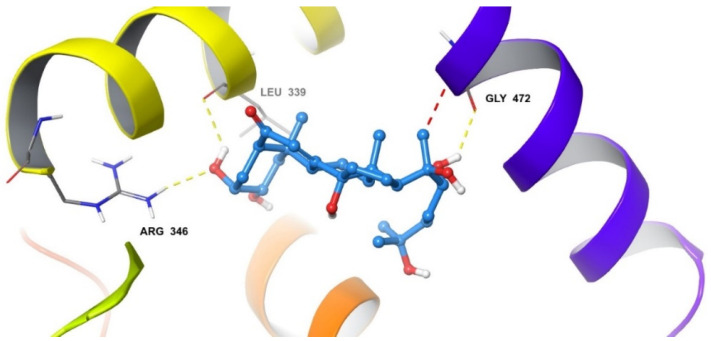 Figure 4