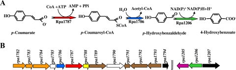 FIG. 10.