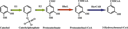 FIG. 15.