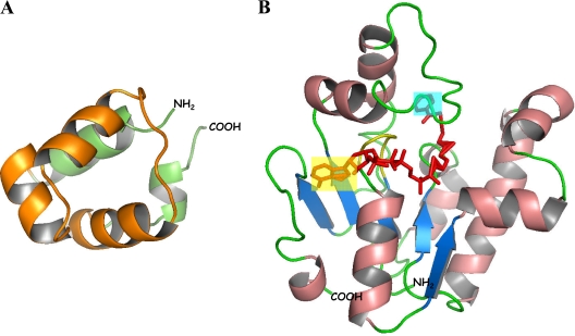 FIG. 21.