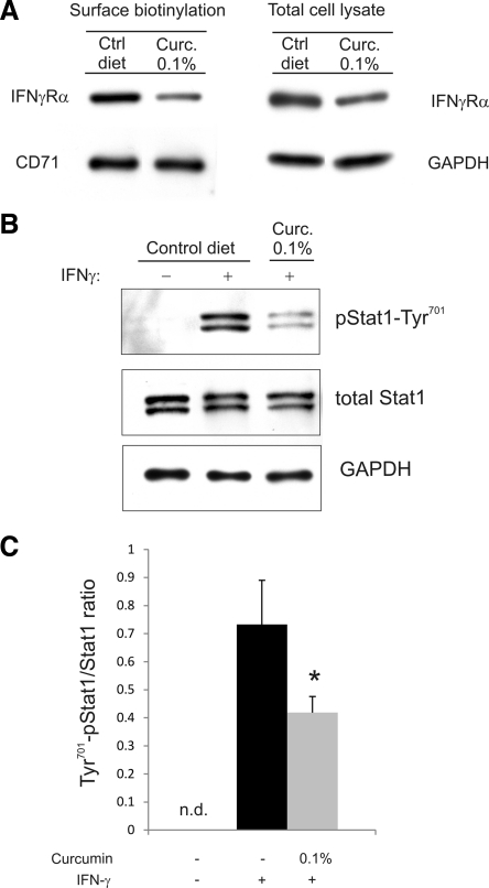 Fig. 9.