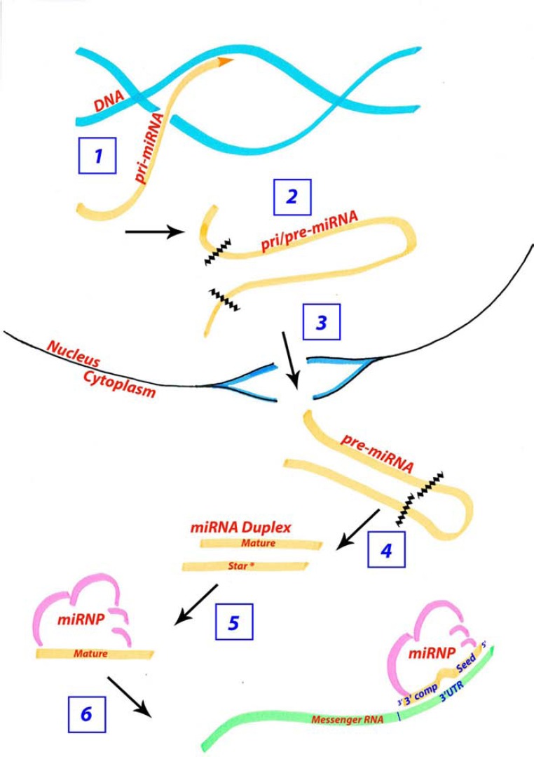 Fig. (2)