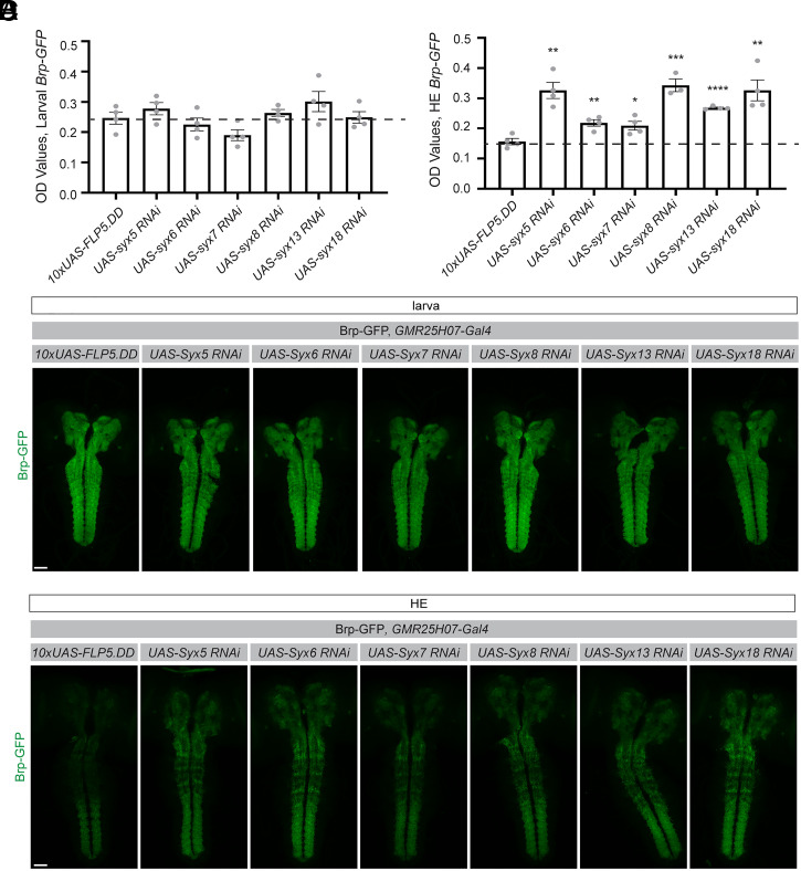 Fig. 7.