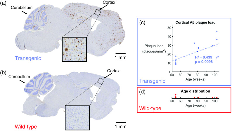 Fig. 11