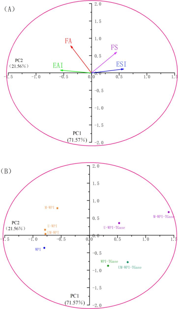 Fig. 5