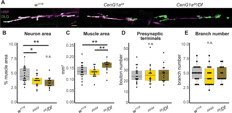 Figure 2: