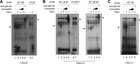 FIGURE 5.