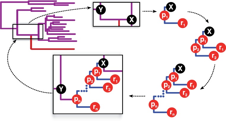 Fig. 2.