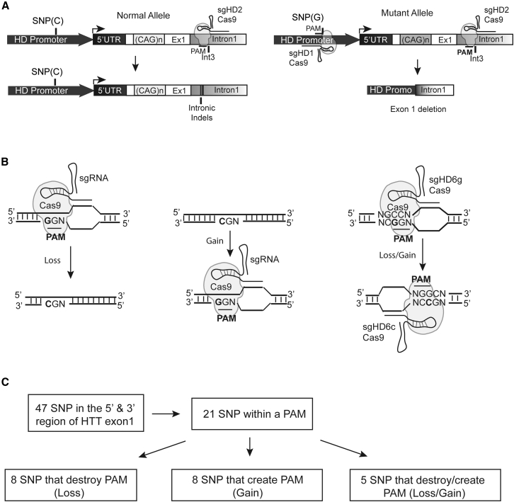 Figure 1