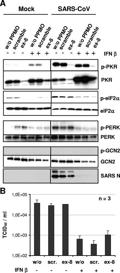 FIG. 5.